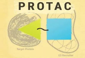 热点前沿:PROTAC初露锋芒，SD-36对抗肿瘤效果卓越