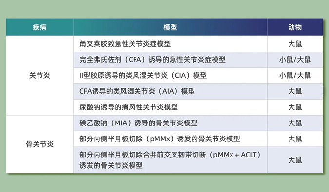 世界关节炎日：突破上亿人的共同难关，持续探索关节炎新药