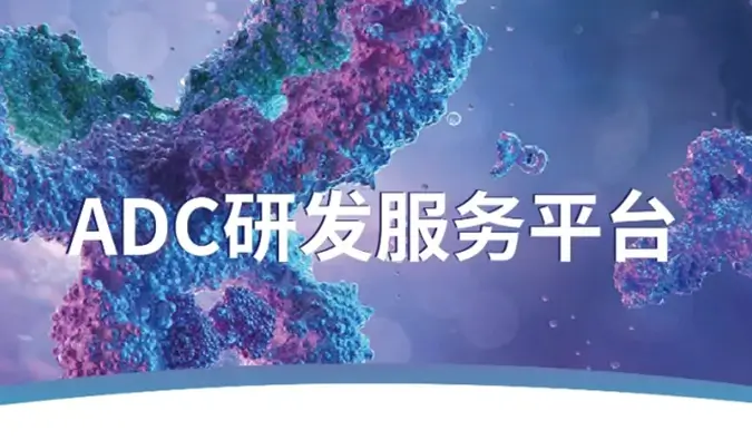 一文读懂：抗体偶联药物（ADC）