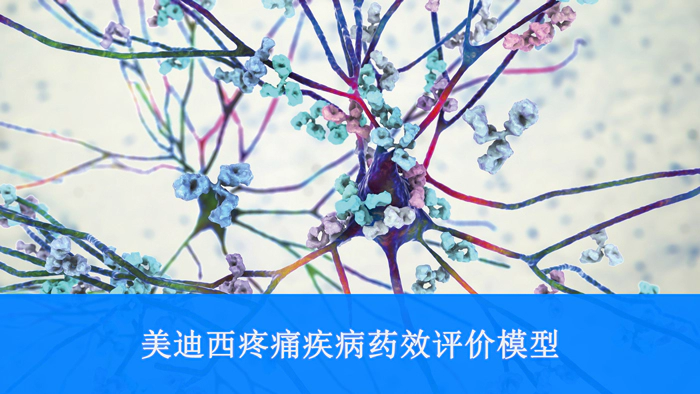 w66国际·利来疼痛疾病药效评价模型.webp